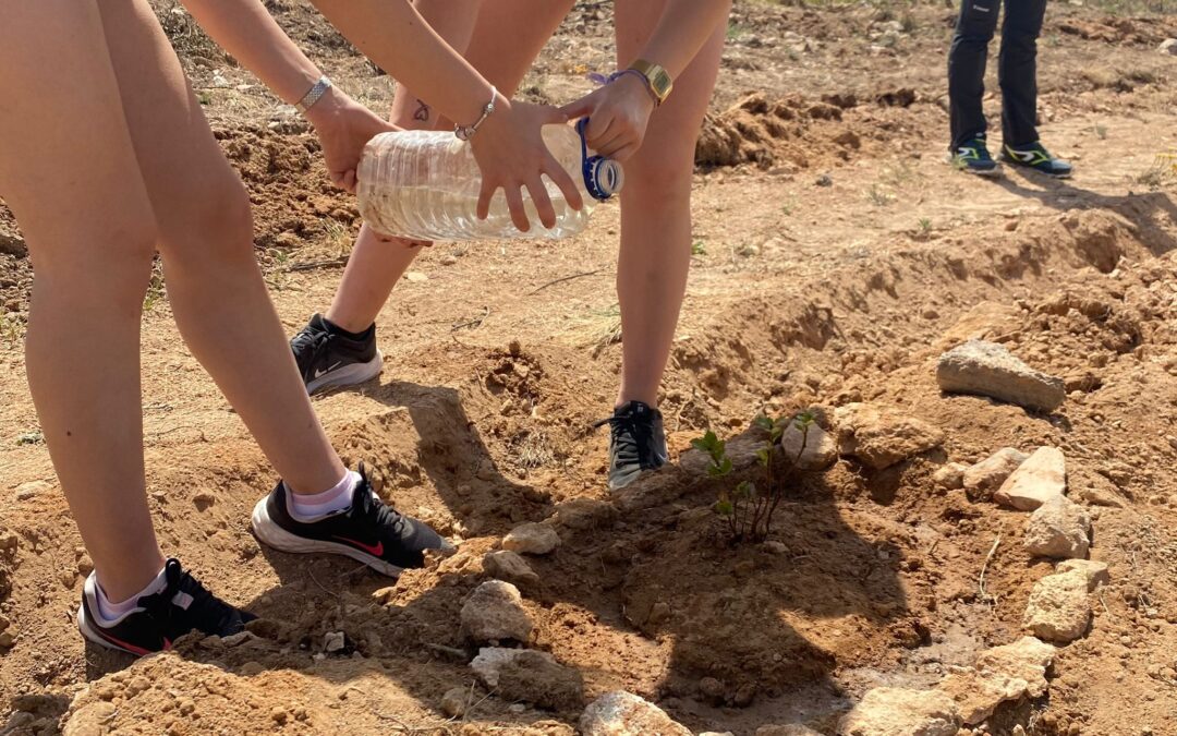 REFORESTAMOS BEJÍS